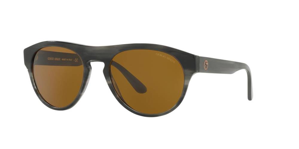 Giorgio Armani Sunglasses AR8145-587733
