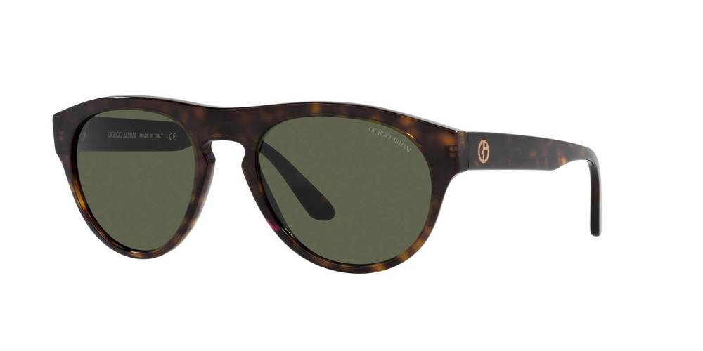 Giorgio Armani Sunglasses AR8145-587931