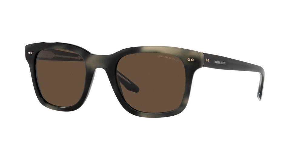 Giorgio Armani Sunglasses AR8138-557253