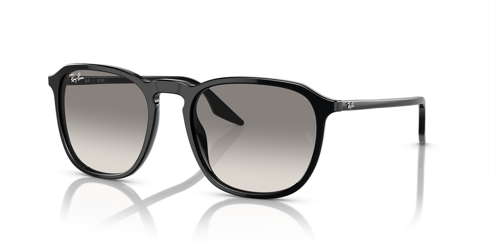 Ray-Ban Sunglasses RB2203-901/32