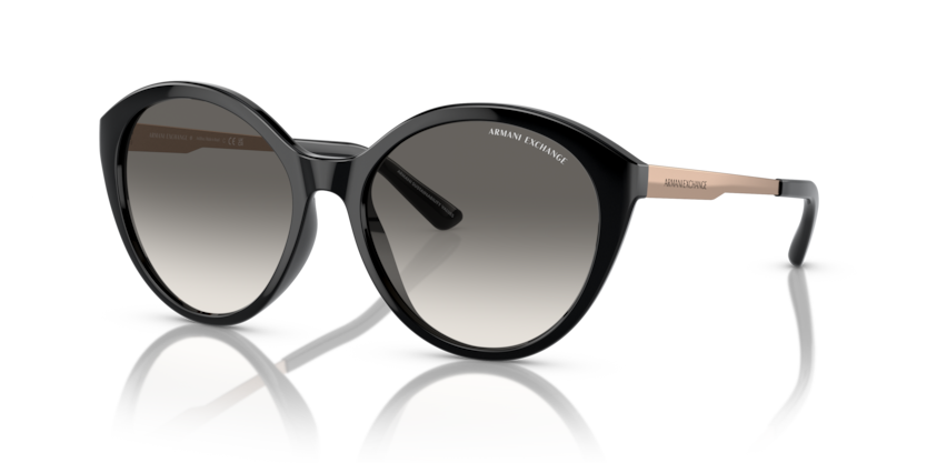 Exchange Armani Sunglasses AX4134S-815811