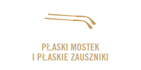 Płaski mostek i płaskie zauszniki - Ray-Ban WINGS