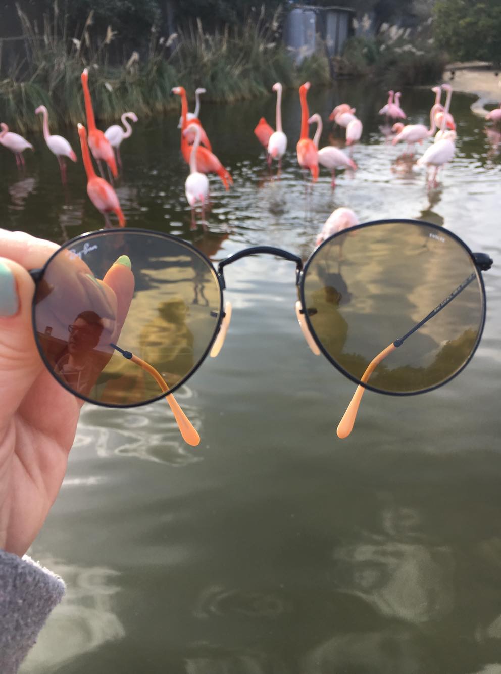Ray Ban Round Evolve - z soczewkami fotochromatycznymi