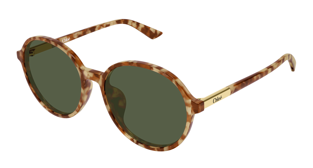 Chloé Sunglasses CH0365SK-004