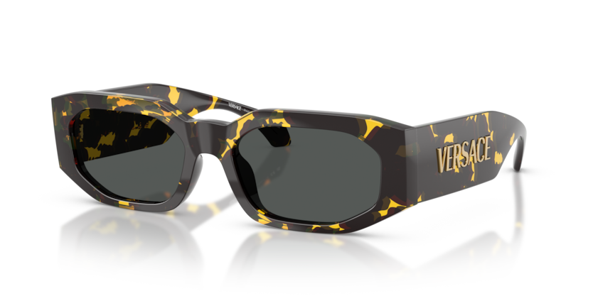 Versace Sunglasses VE4489U-552887