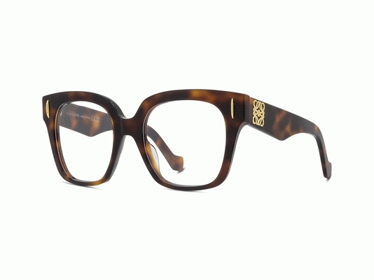 Loewe Optical frame LW50069I-51052