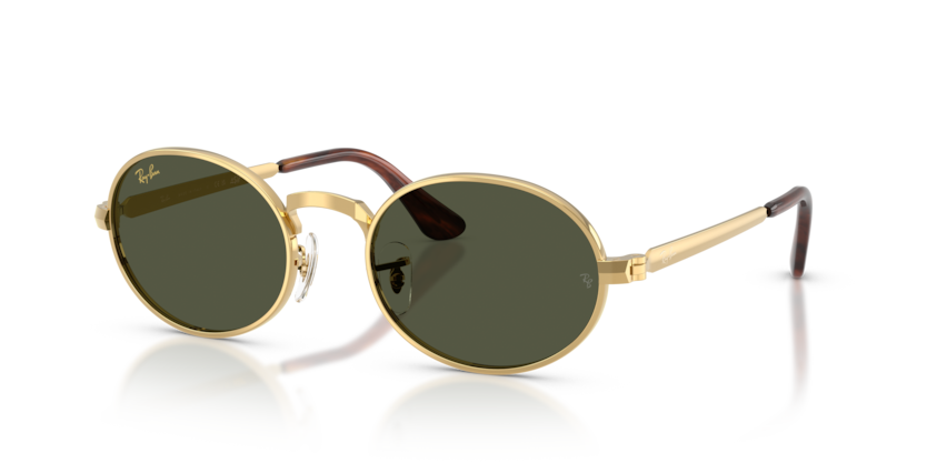 Ray-Ban Sunglasses RB3931-001/31