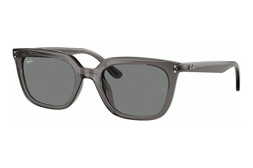 Ray-Ban Sunglasses RB4439D-667587