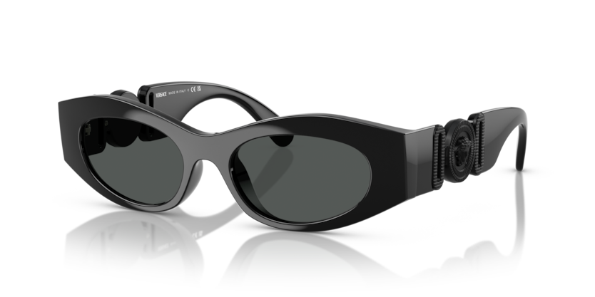 Versace Sunglasses VE4480U-536087