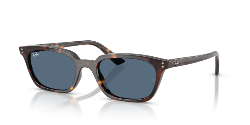 Ray-Ban Sunglasses ZAYA RB4456-135980