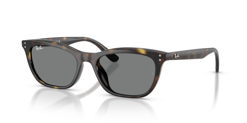 Ray-Ban Sunglasses RB4474D-710/87