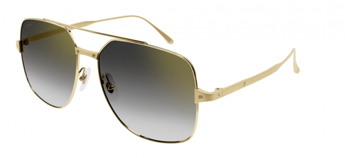 CARTIER Sunglasses CT0329S-001