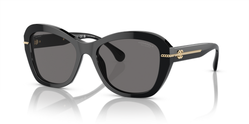 Chanel Sunglasses CH5510-C622T8