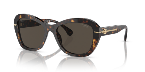Chanel Sunglasses CH5510-C71483