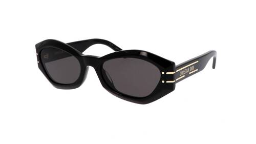 Dior Sunglasses DIORSIGNATURE (B1U_10A0) CD40139U-01A
