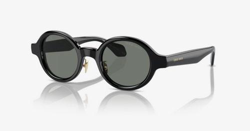 Giorgio Armani Sunglasses AR8205-6060/1