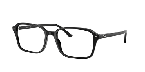 Ray-Ban Optical frame RAIMOND RX5431-2000