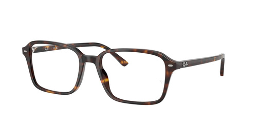 Ray-Ban Optical frame RAIMOND RX5431-2012