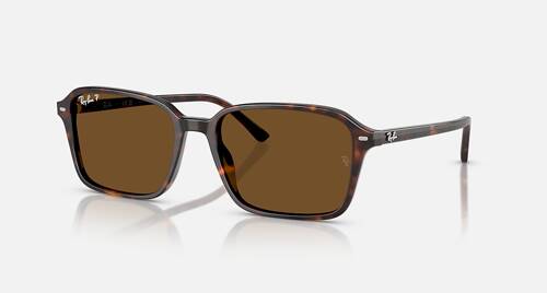 Ray-Ban Sunglasses RAIMOND RB2231-902/57