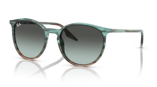 Ray-Ban Sunglasses RB2204-1394GK