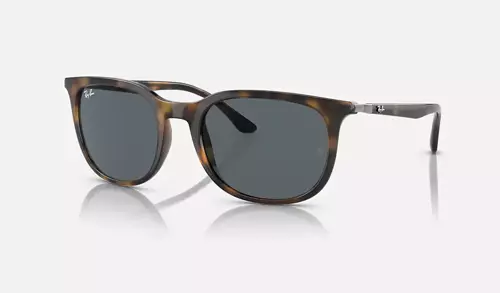 Ray-Ban Sunglasses RB4386-710/R5