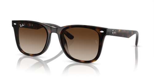 Ray-Ban Sunglasses RB4420-710/13