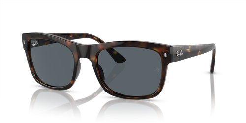 Ray-Ban Sunglasses RB4428-710/R5