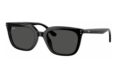 Ray-Ban Sunglasses RB4439D-901/87