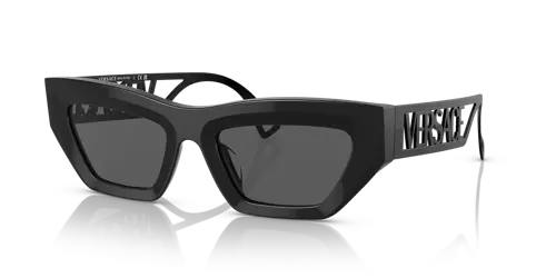 Versace Sunglasses VE4432U-523287