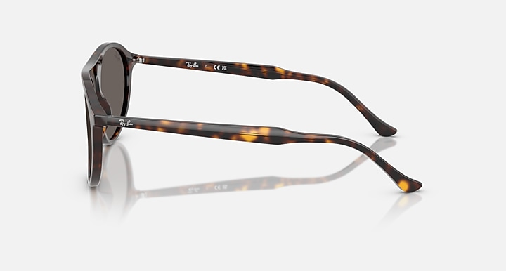 Ray-Ban Sunglasses RB2215-902/B1