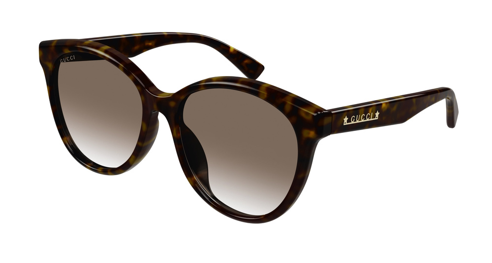 Gucci Sunglasses GG1171SK-003