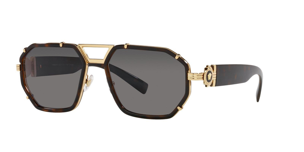 Versace Sunglasses VE2228-100281