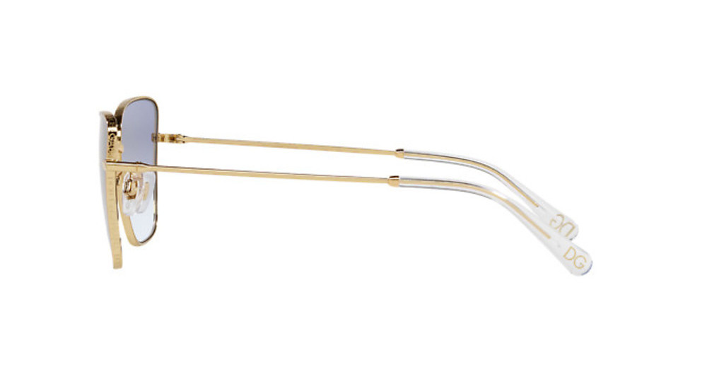 Dolce & Gabbana Sunglasses DG2275-02/79