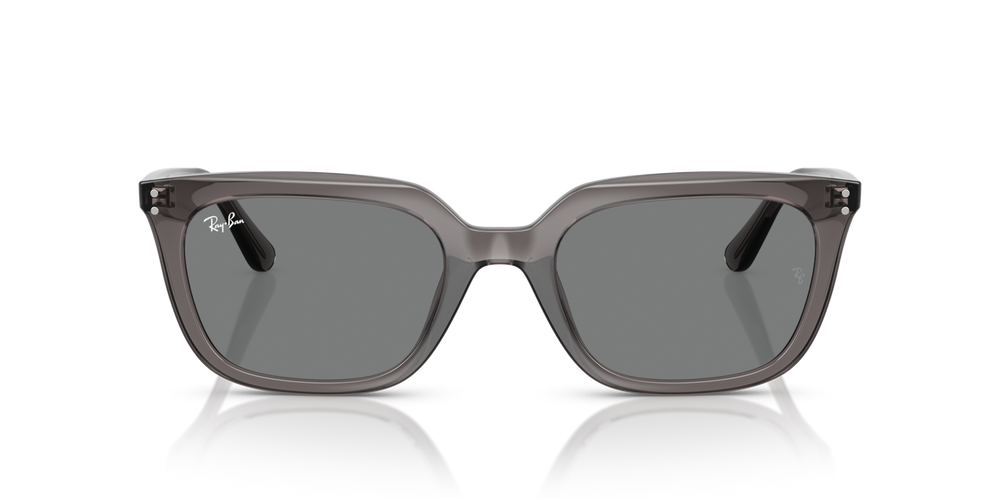 Ray-Ban Sunglasses RB4439D-667587