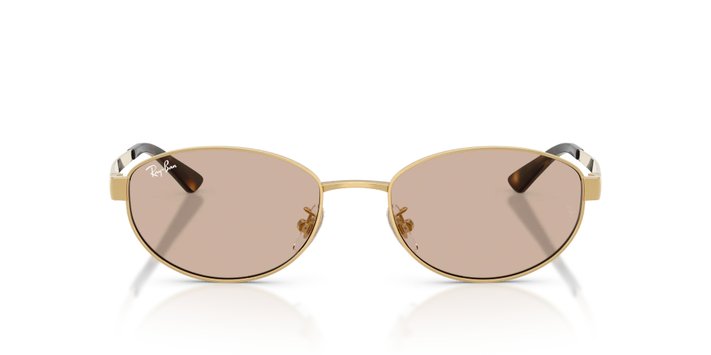 Ray-Ban Sunglasses RB3774D-001/3