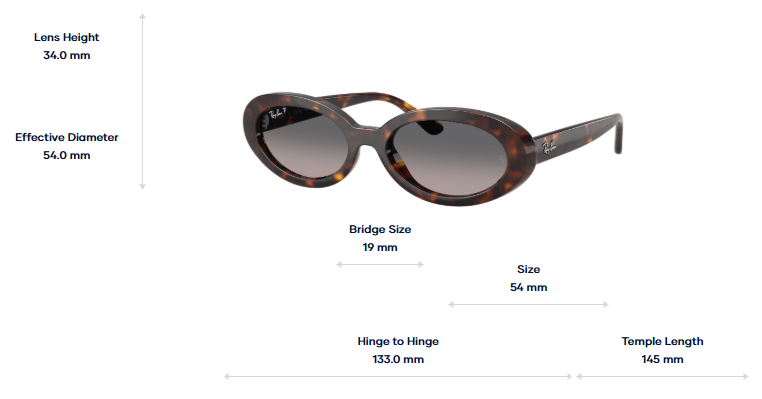 Ray-Ban Sunglasses RB2223-902/M3