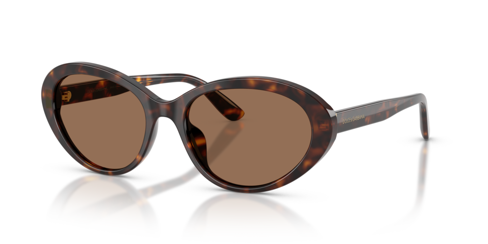 DOLCE & GABBANA Sunglasses DG4570-502/73