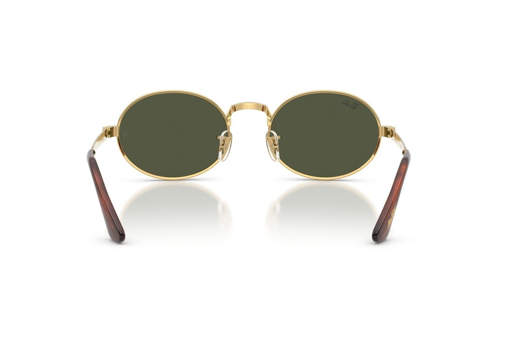 Ray-Ban Sunglasses RB3931-001/31