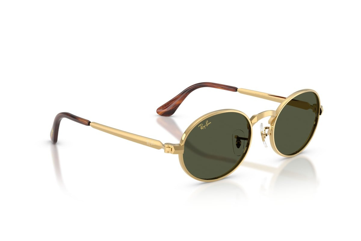 Ray-Ban Sunglasses RB3931-001/31