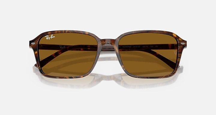 Ray-Ban Sunglasses RAIMOND RB2231-141833