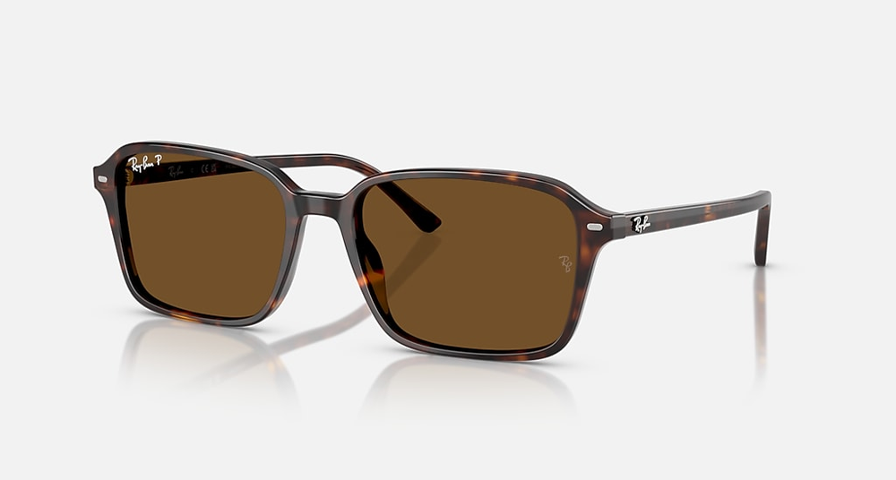 Ray-Ban Okulary przeciwsłoneczne RAIMOND RB2231-902/57