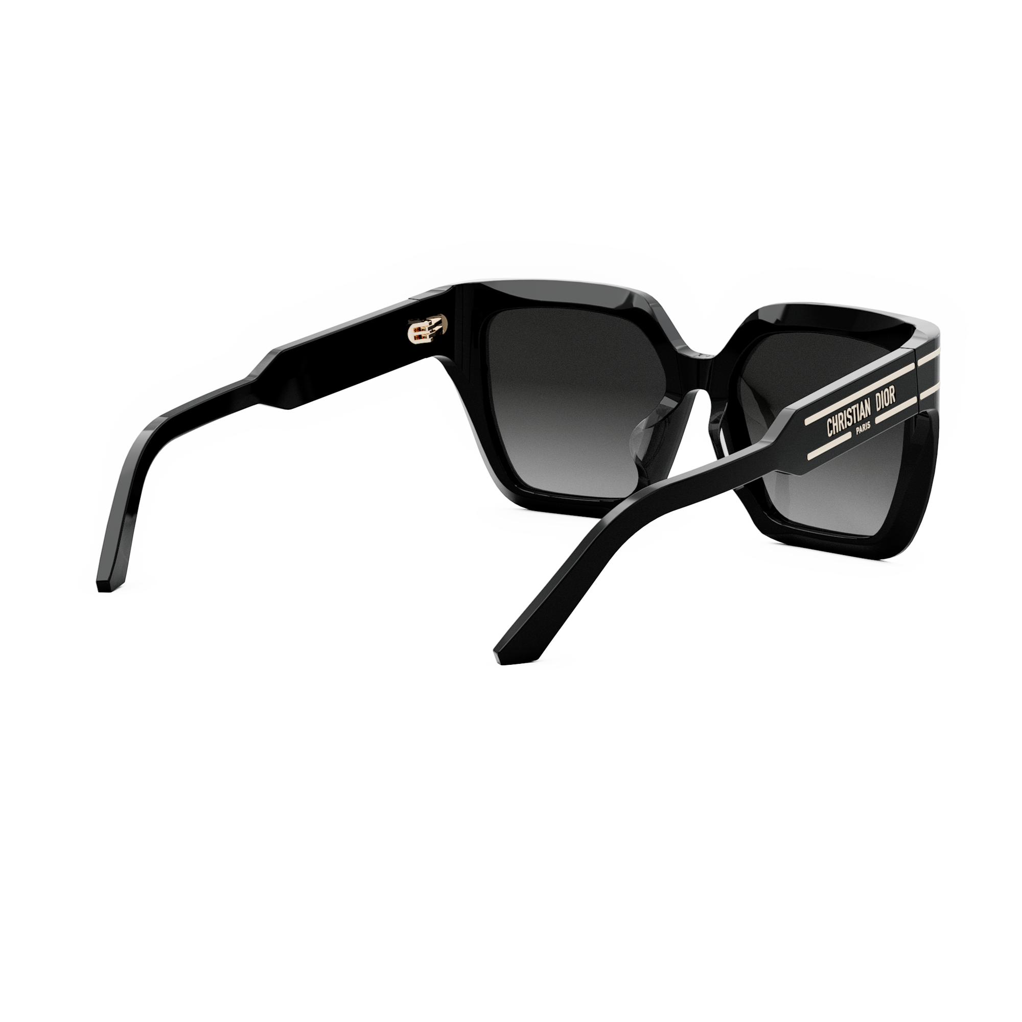 Dior Okulary przeciwsłoneczne DIORSIGNATURE (S10F_10A1) CD40131F-01B