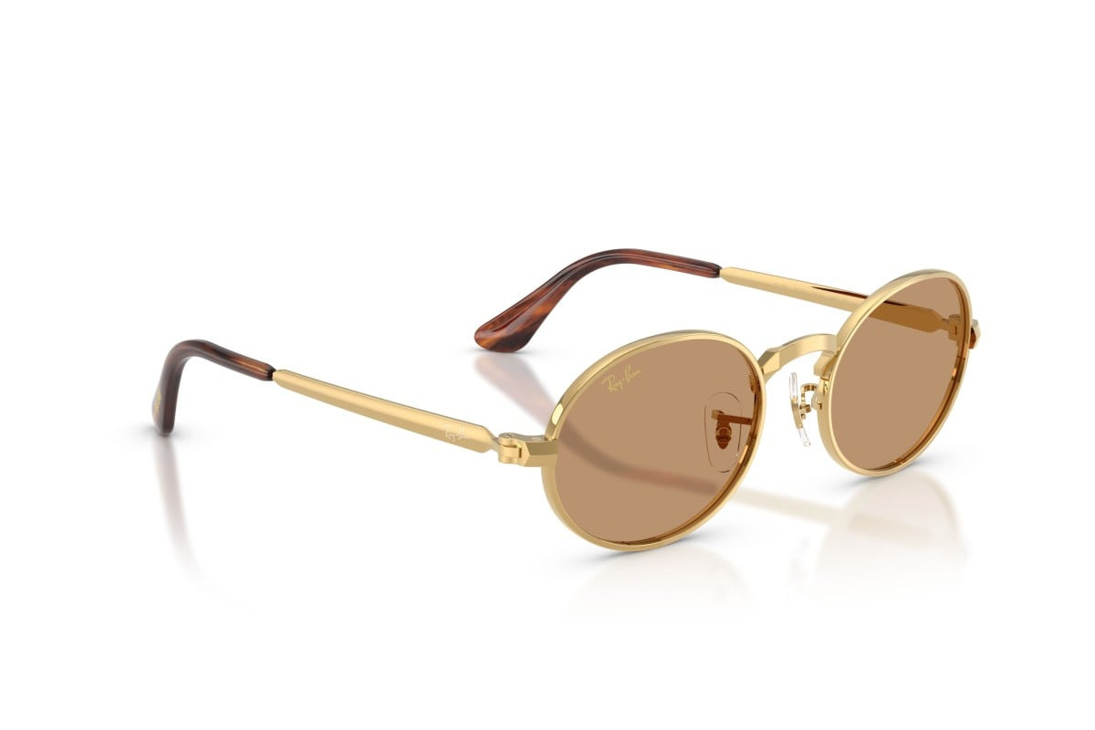 Ray-Ban Sunglasses RB3931-001/53