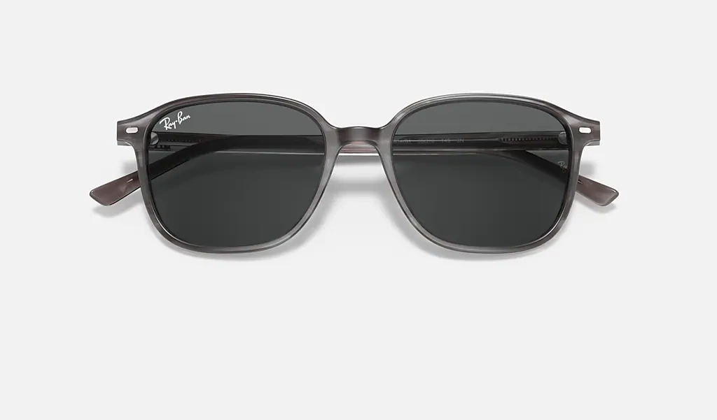 Ray-Ban Sunglasses LEONARD RB2193-1314B1