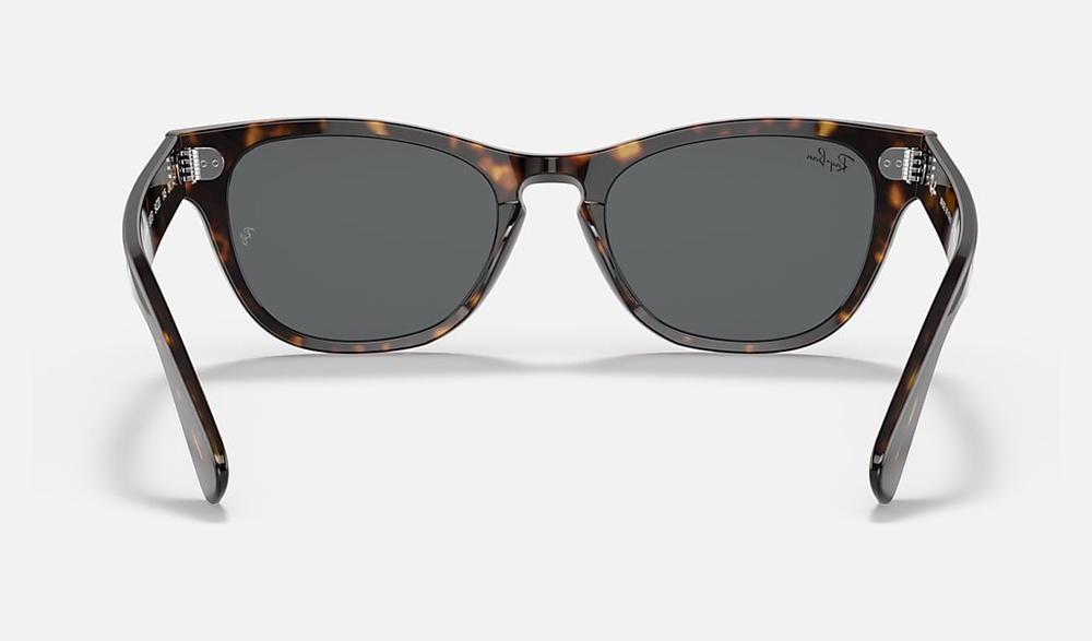 Ray-Ban Sunglasses LARAMIE RB2201-902/B1