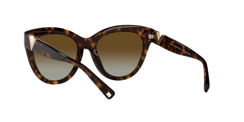 Valentino Sunglasses VA4089-5002T5