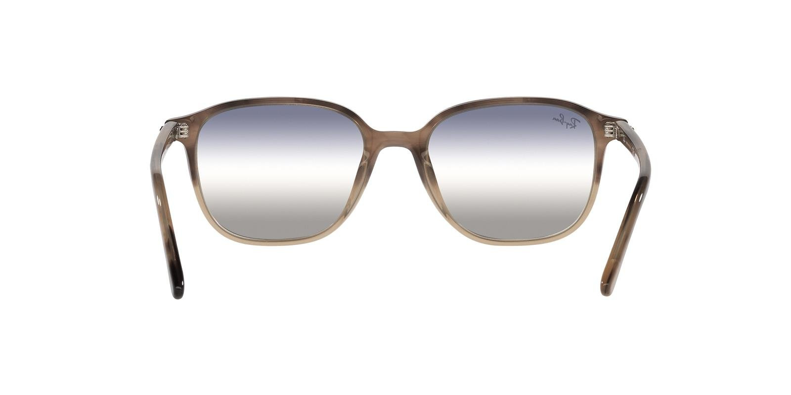 Ray-Ban Sunglasses LEONARD RB2193-1327GF