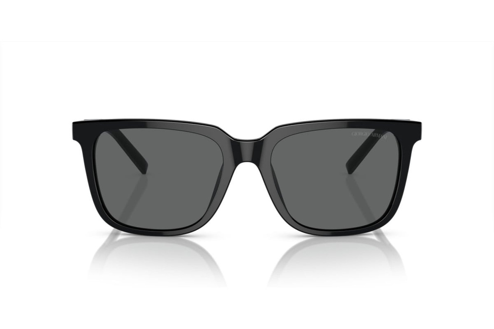 Giorgio Armani Sunglasses AR8202U-587587