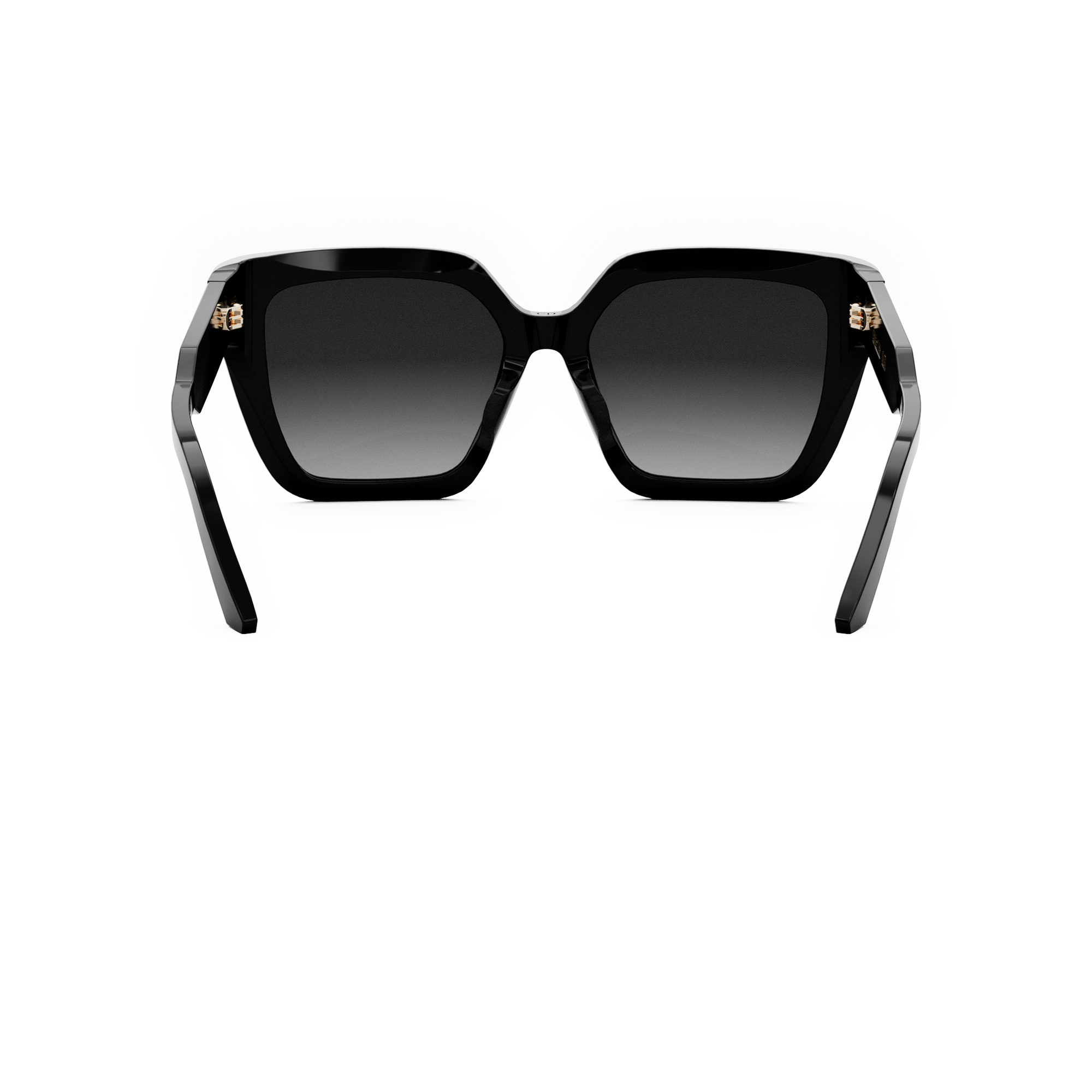 Dior Sunglasses DIORSIGNATURE (S10F_10A1) CD40131F-01B