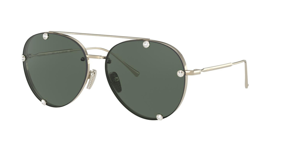 Valentino Sunglasses VA2045-300371